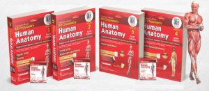 HUMAN ANATOMY BDC VOL-1 TO 4 BY ZIGMAKART